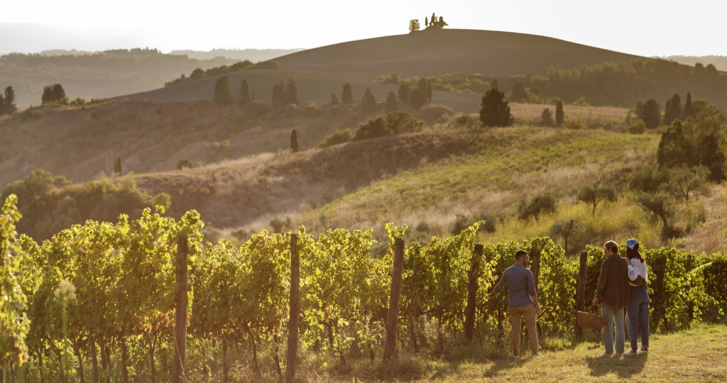 Foto: Toscana Resort Castelfalfi