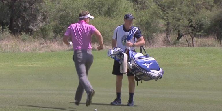 golfbana djur babian