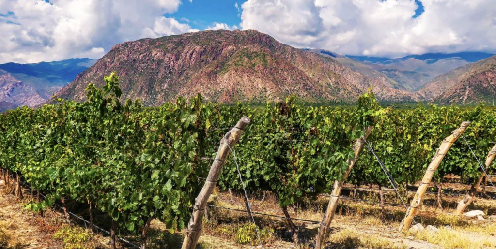 Njut av vin i världsklass på golfresan till Argentina!
