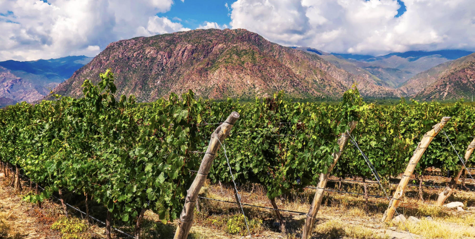 Njut av vin i världsklass på golfresan till Argentina!