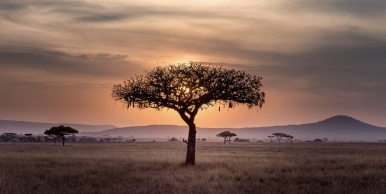Golflivet - Sydafrikas fantastiska vinlandskap!