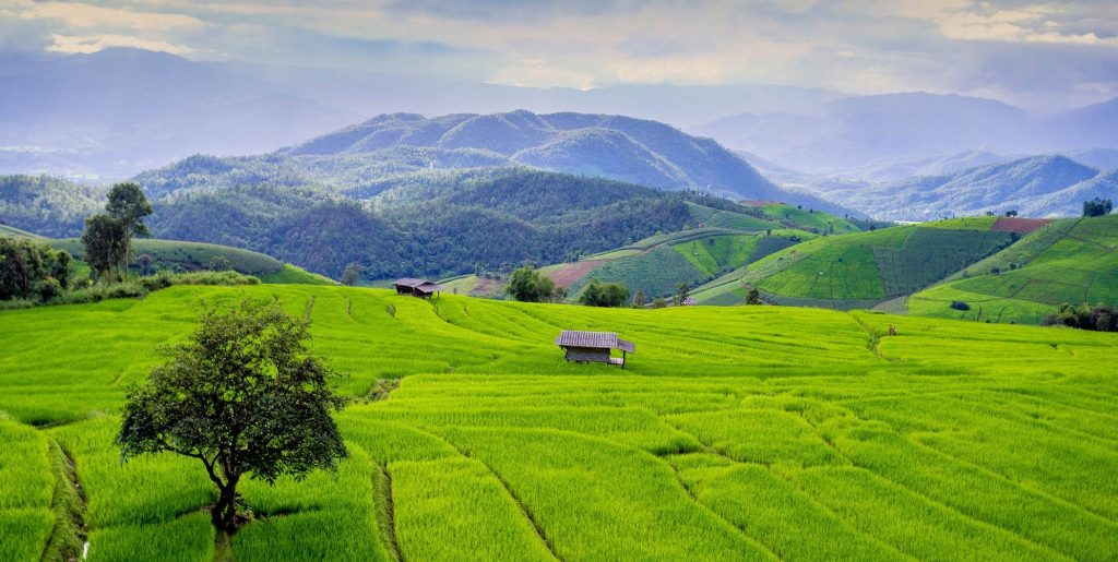 Golf Thailand Chiang Mai